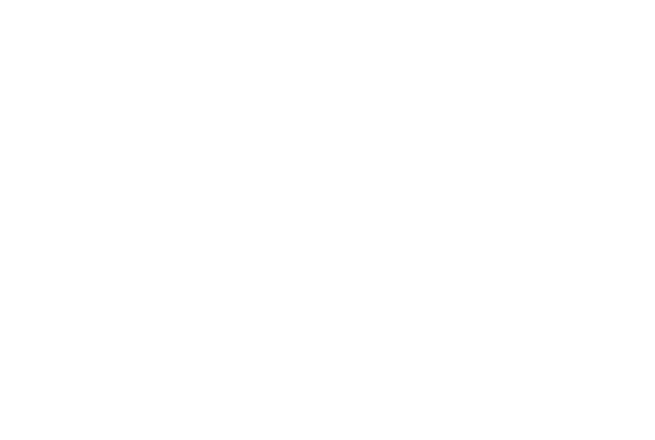 DS Smith